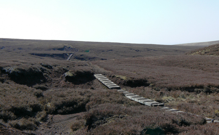 Harrop Moss Harrop Moss